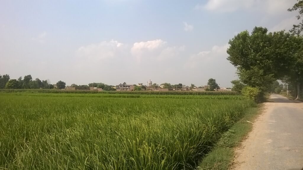 Gohar jageer, district kasur